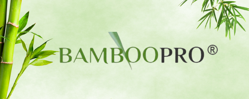 The BambooPro™ Blueprint