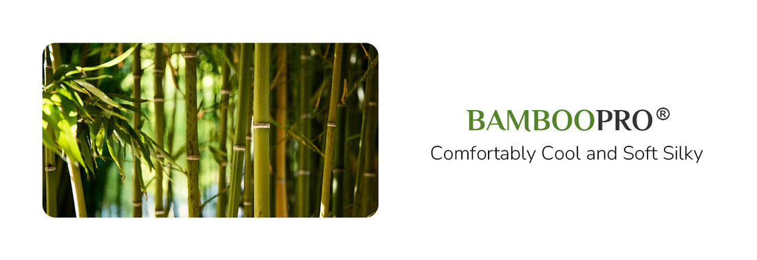🐼 When You Realise Bamboo Isn’t Just for Pandas