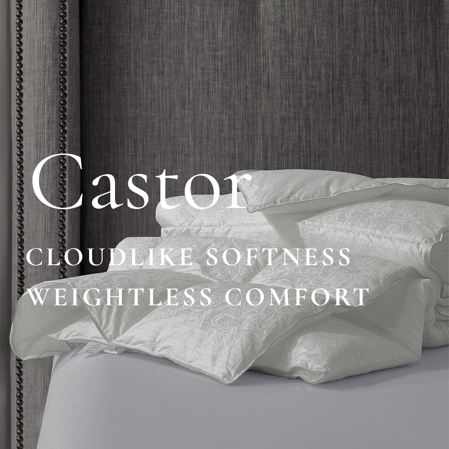 Castor