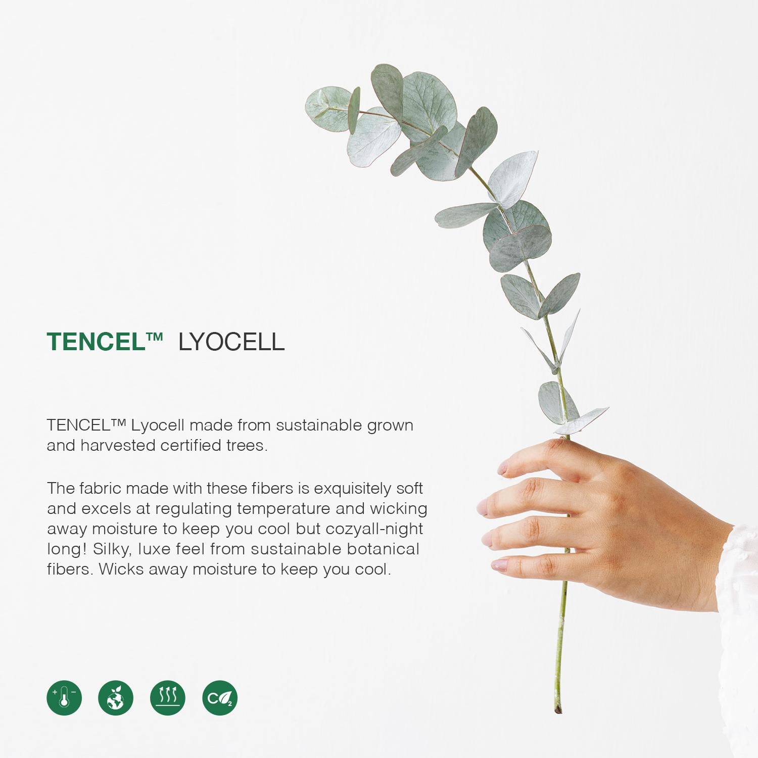 Bellami Heirloom Classic - Hemstitch Tencel Pro 1300TC Chris Bed Set