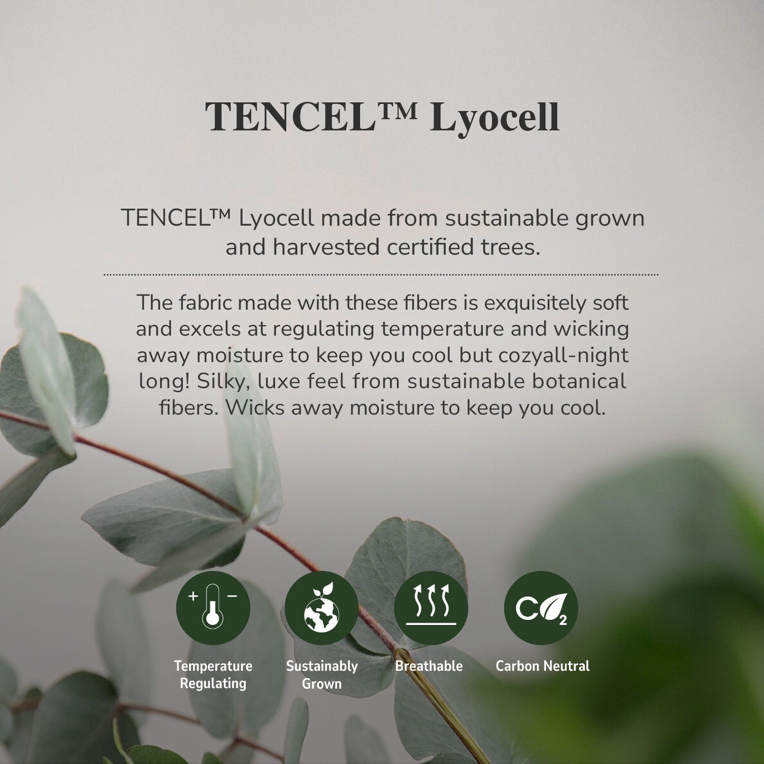 Intero I Lumier Micro I TENCEL‚Ñ¢ Solid 1300 Thread Count Eniz 4.0 I Bed Set | Fitted Sheet | Soft & Comfort