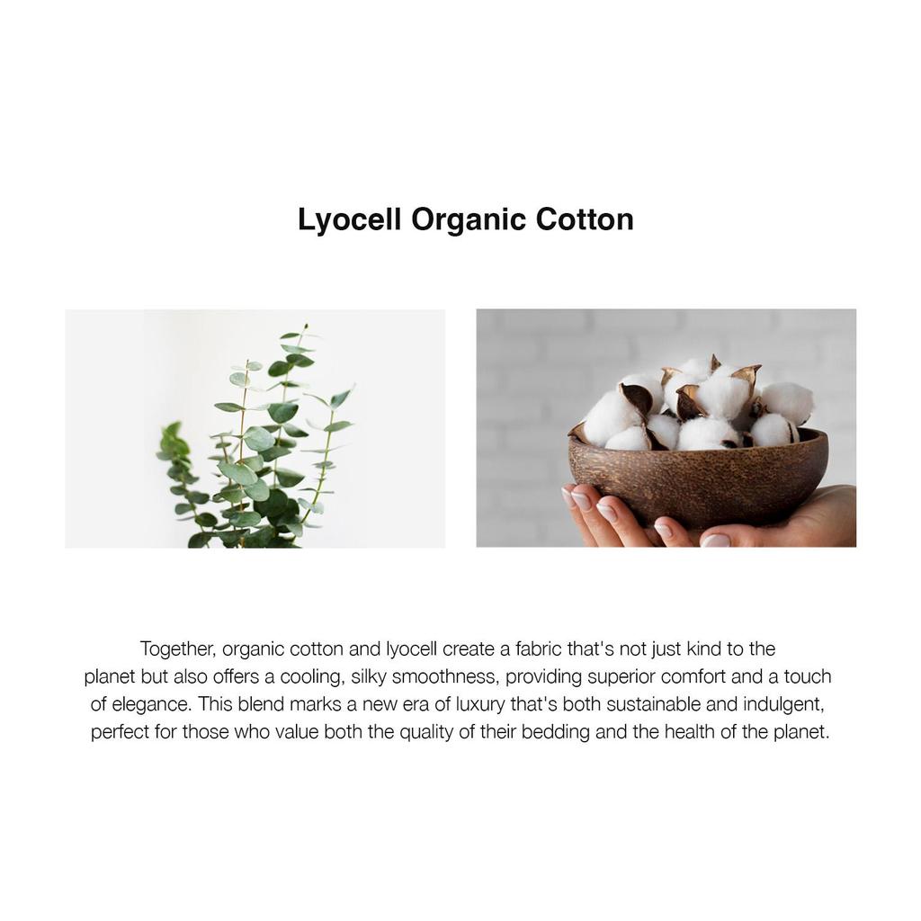 Bellami Heirloom Basic 2.0 Solid Beddings | Fitted Sheet | Bed Set | Pillow Case | Bolster Case - 1300TC Aris Organic Cotton & Lyocell