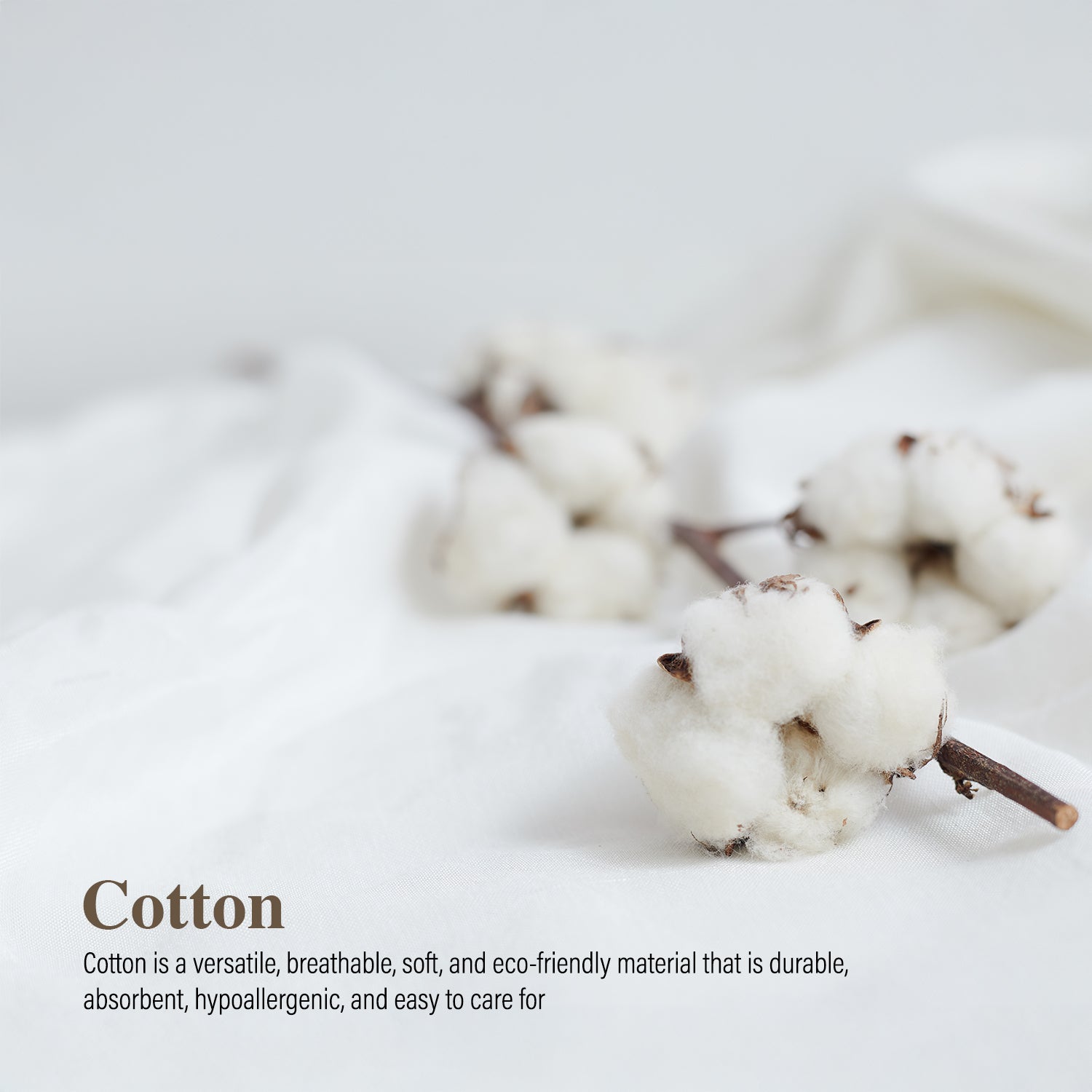 Marie Claire I Morpheus Dobby Cotton I 988TC I Fitted Sheet Set I Bed Set I Pillow Case I Bolster Case