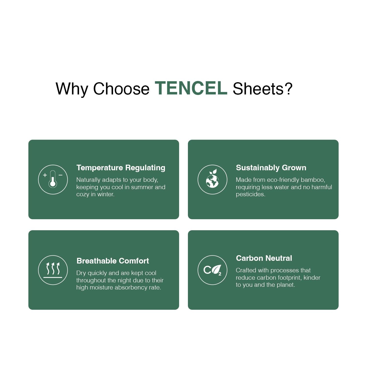 Intero Lumier Micro Tencel Solid Eniz Bedding Collection - 1500TC