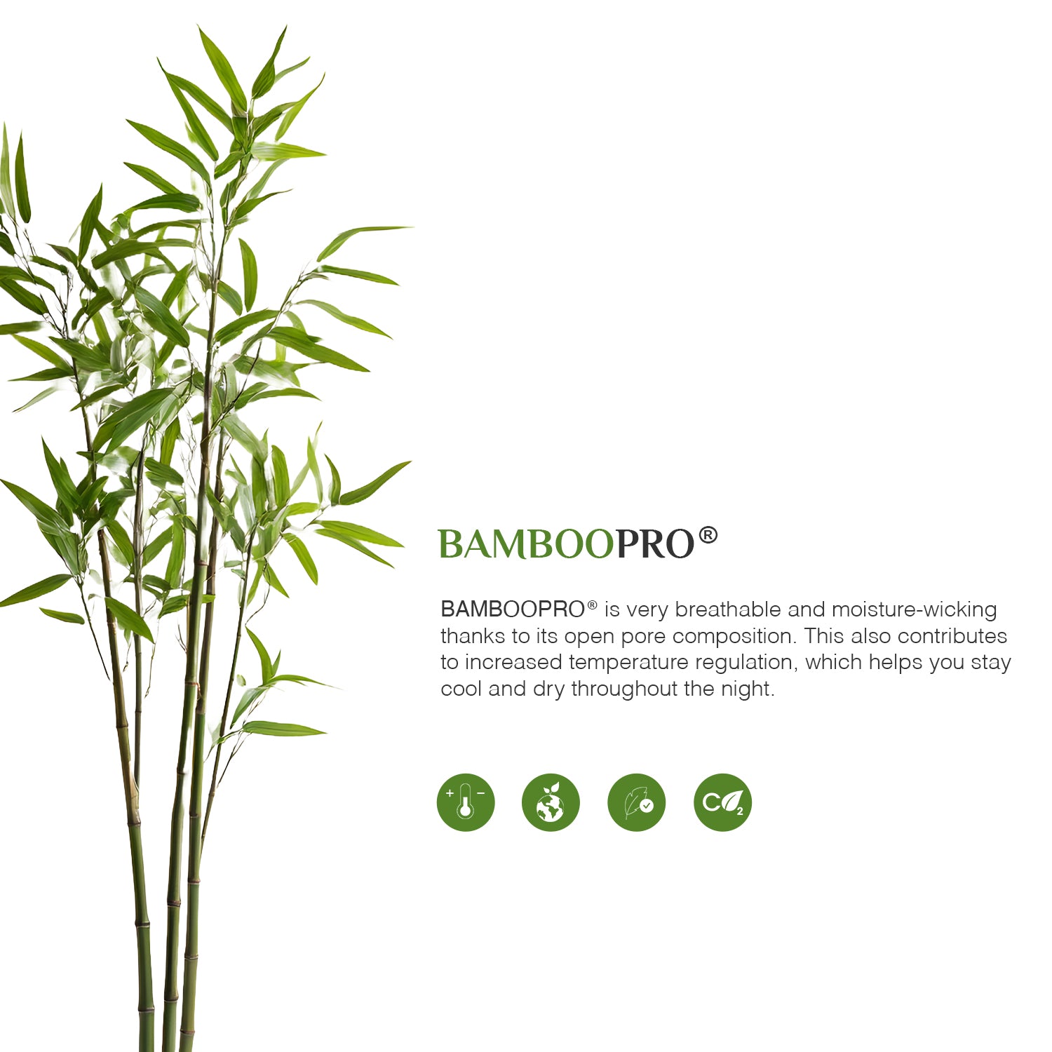 Bellami Trinity BambooPro Bed Set - Inmost Light CV Collection