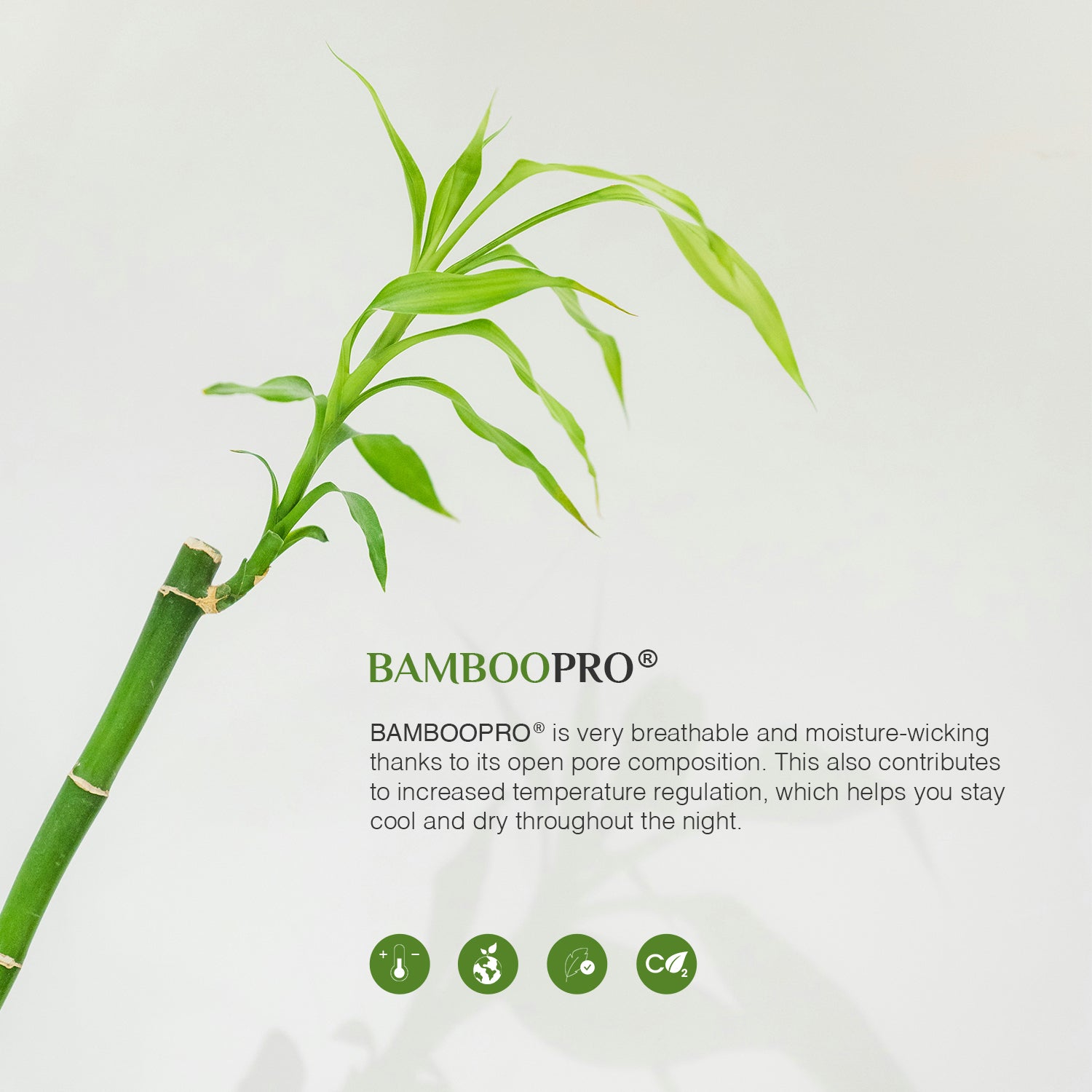 Bellami Trinity BambooPro Bed Set - Inmost Light CV Collection