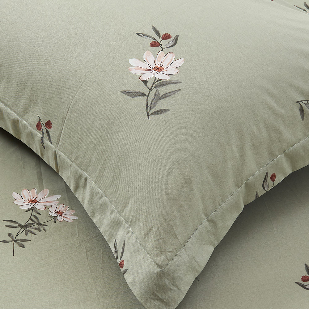 Marie Claire I Lumine 100% Combed Cotton I 1000TC I Fitted Sheet Set I Bed Set - Poppy