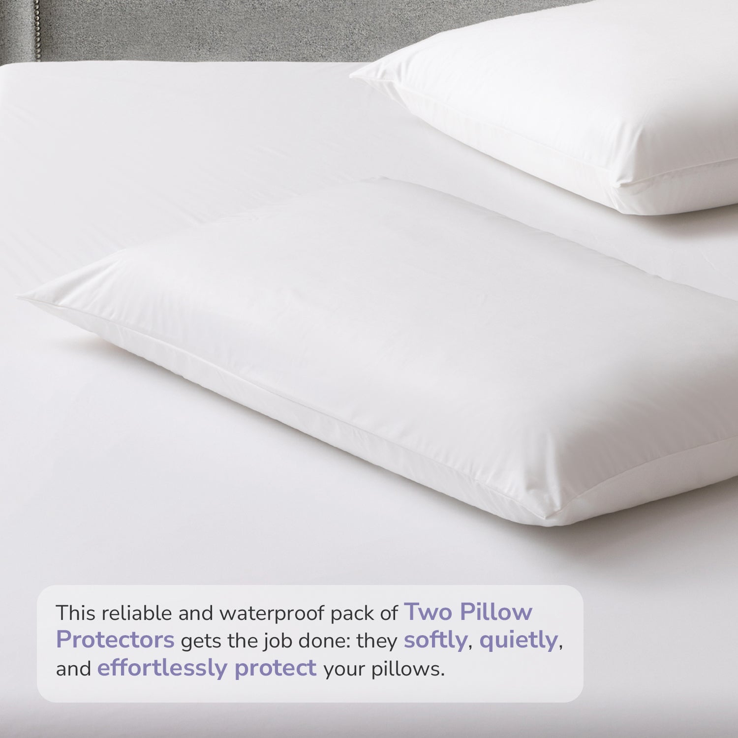 Bellami Shield Guard CoolMax Waterproof Pillow and Bolster Protectors