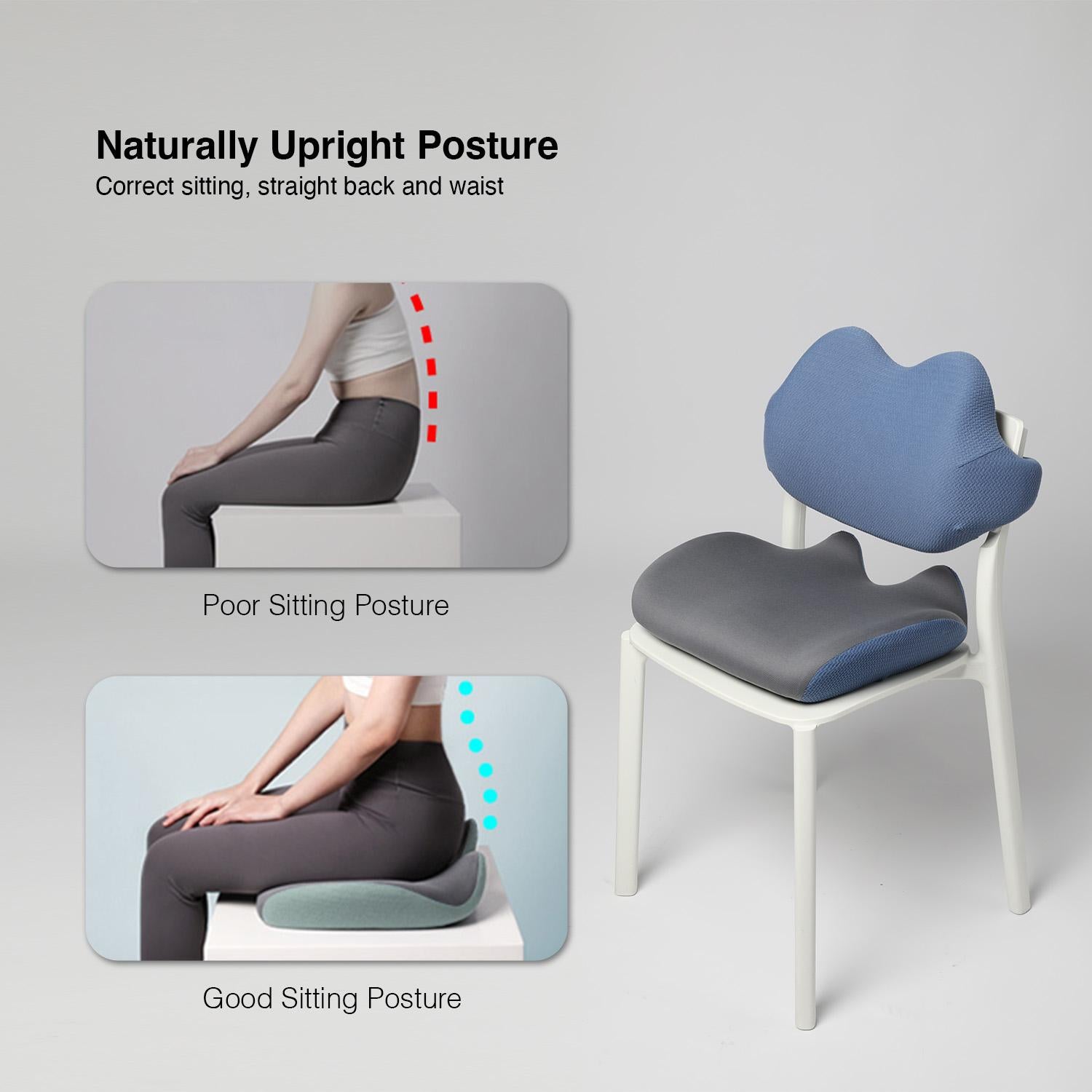 Bellami Plus Mbrace Comfort Set - Lumbar Support & Seat Cushion