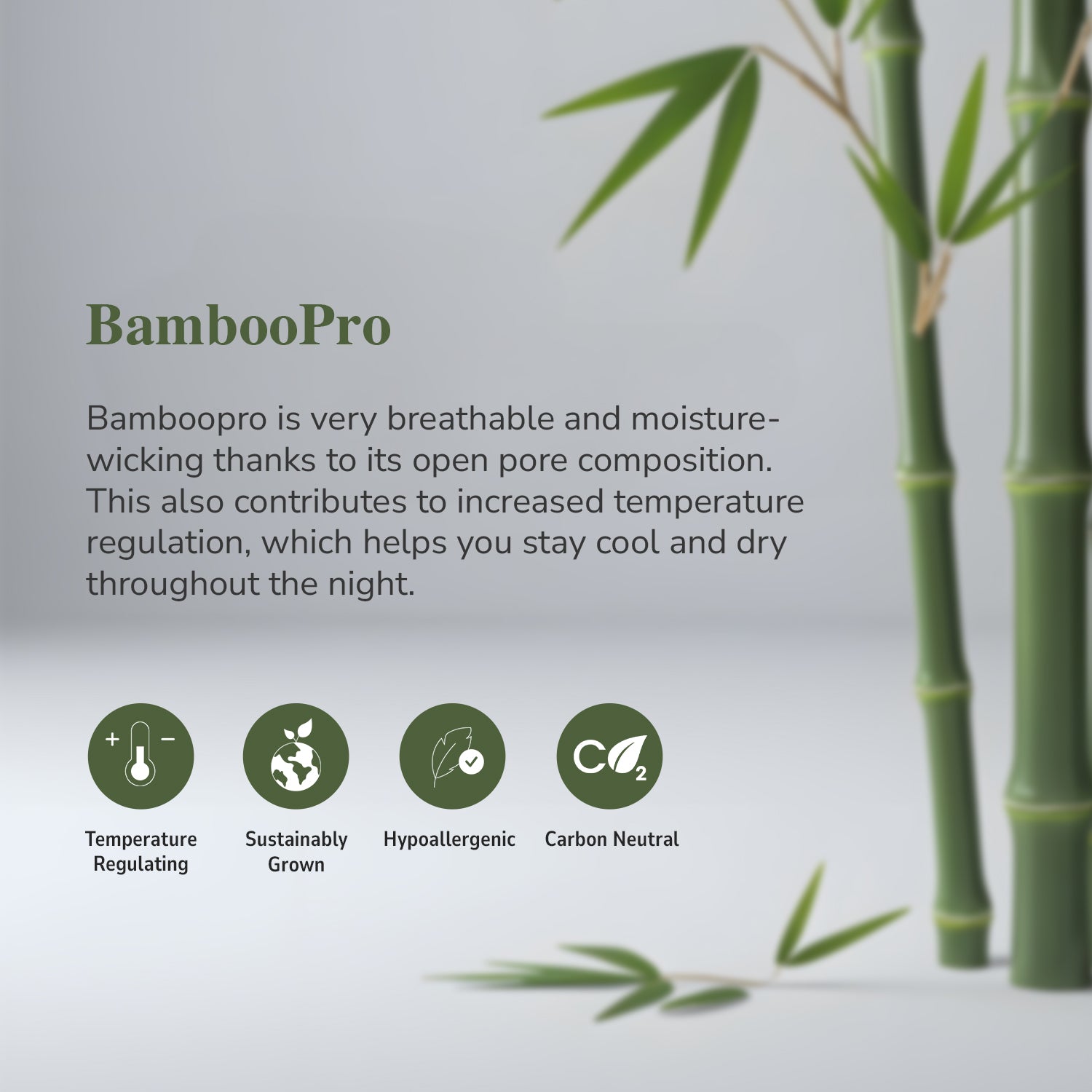 Intero I BambooPro Terra Basic I Beyond Thread Count I Fitted Sheet Set I Bed Set I Pillow Case I Bolster Case I With Quilt Cover - 4 Colours