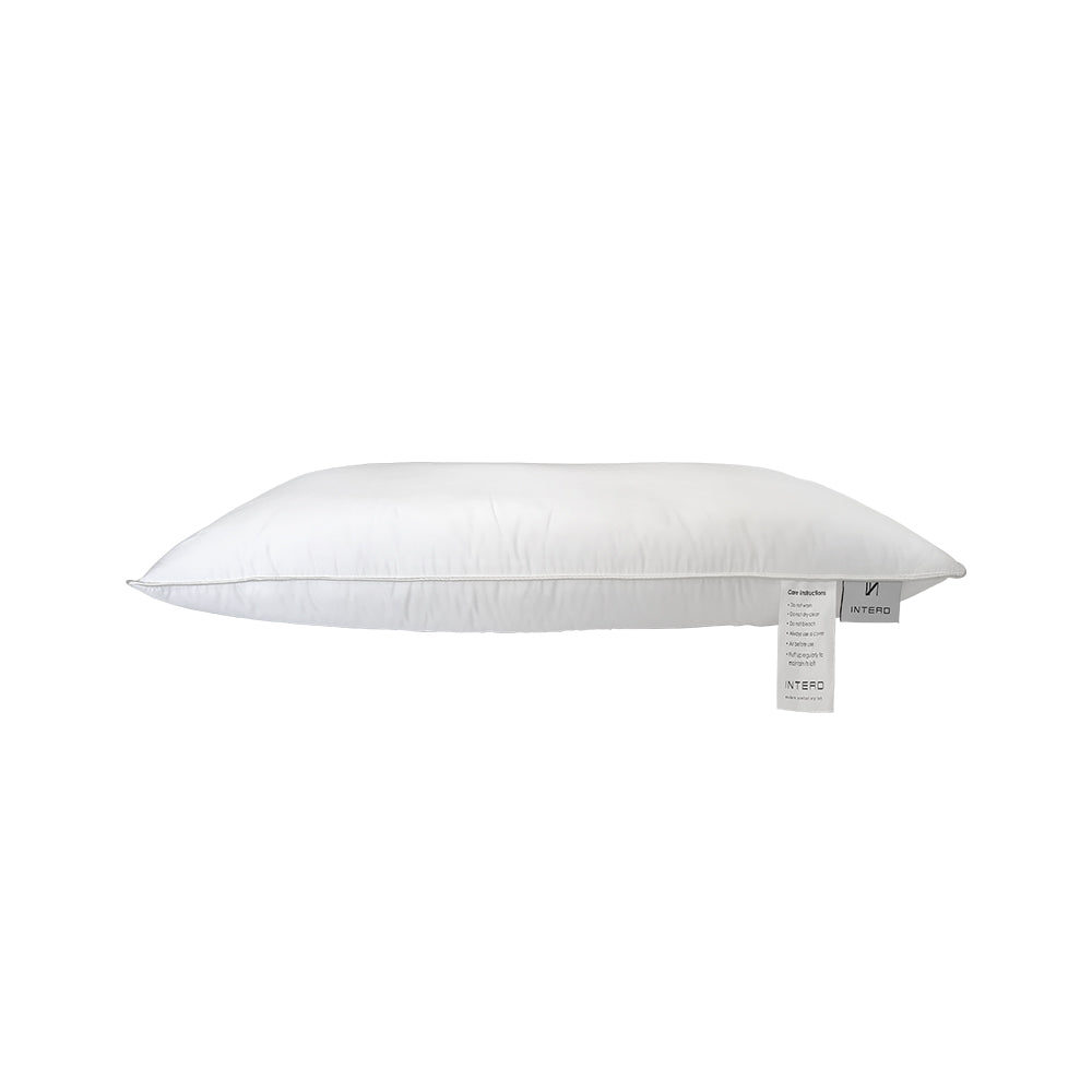 Intero I Soft Lustrous I Deluxe Pillow