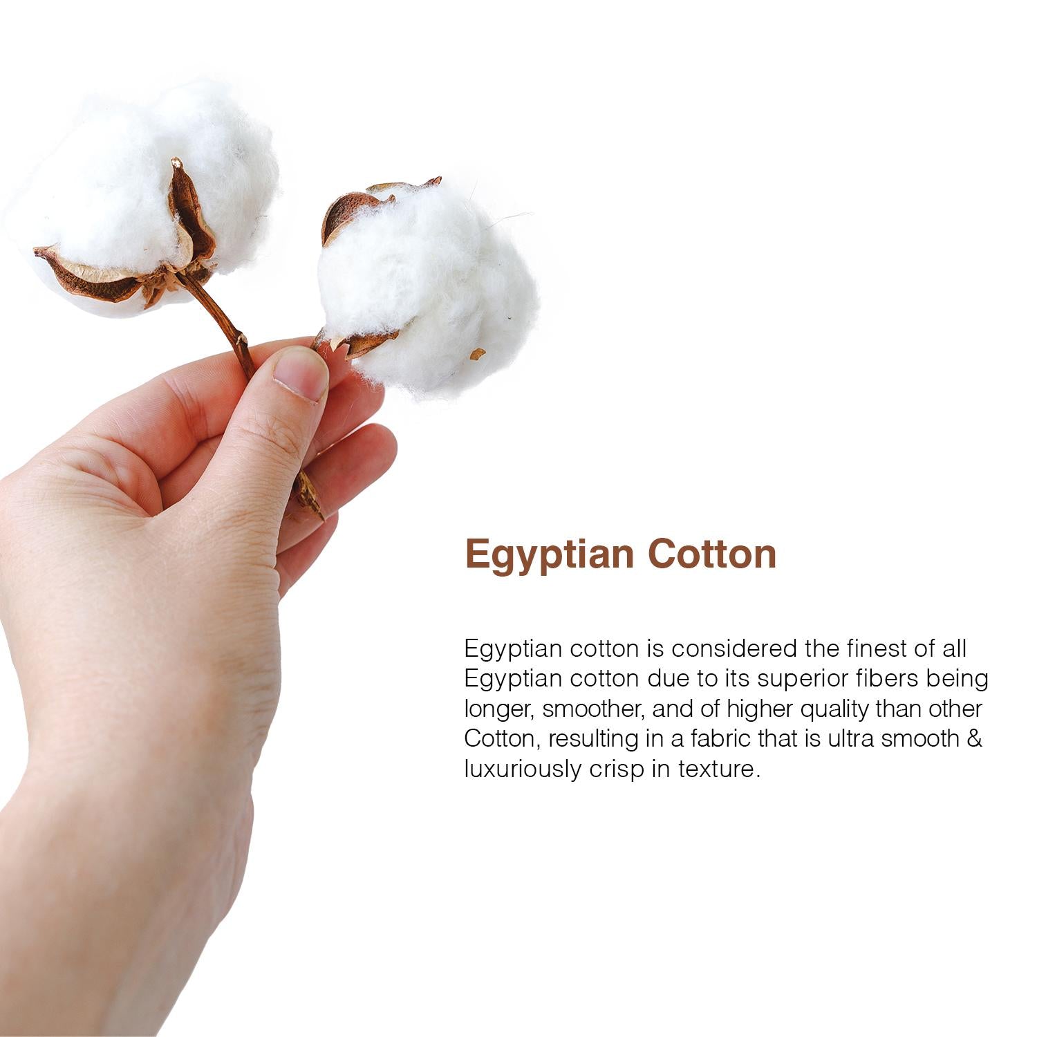 Bellami Hotel De Luxe Speedy Egyptian Cotton Bedding Set with Triple Embroidery Stitch