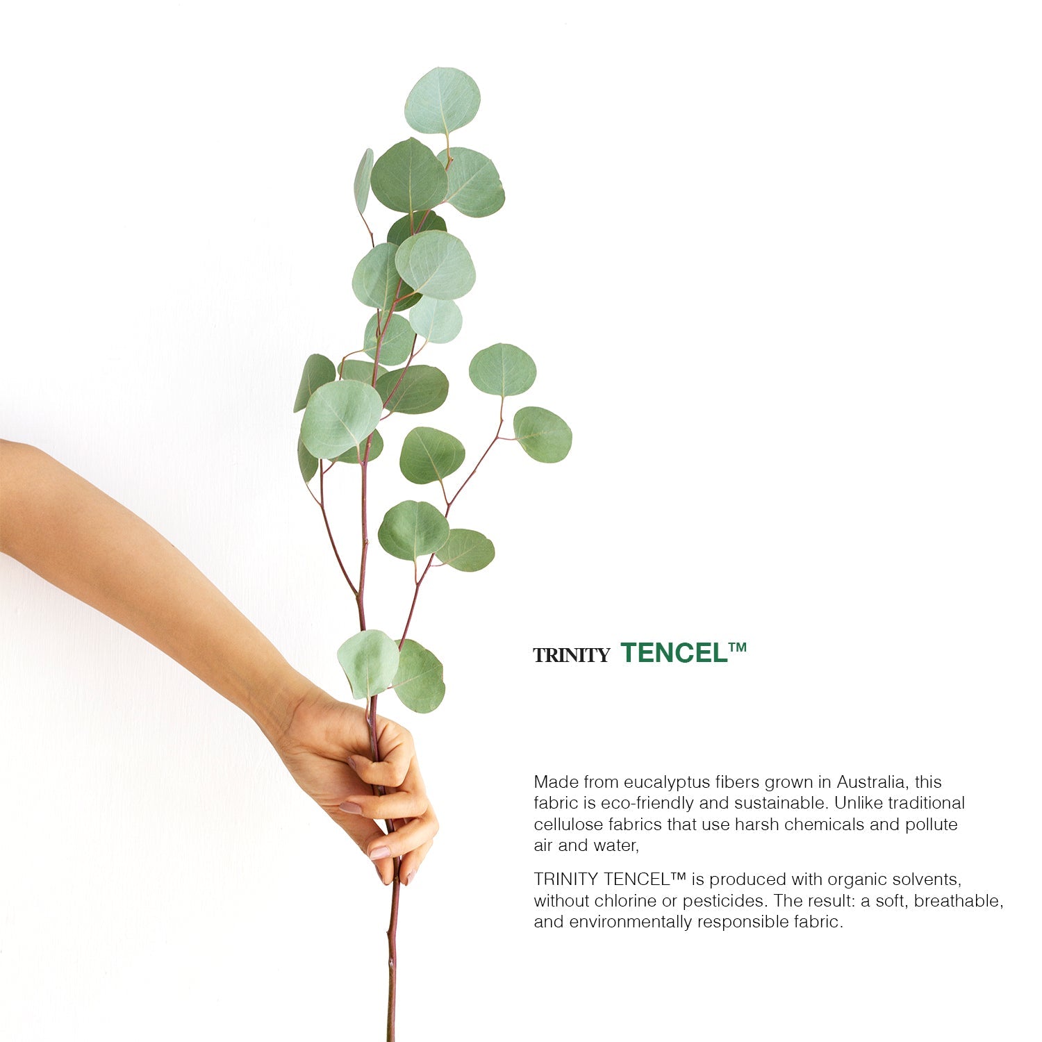 BELLAMI I Sustainable TENCEL‚Ñ¢ 1200TC Bed Set with Sheets & Pillowcases