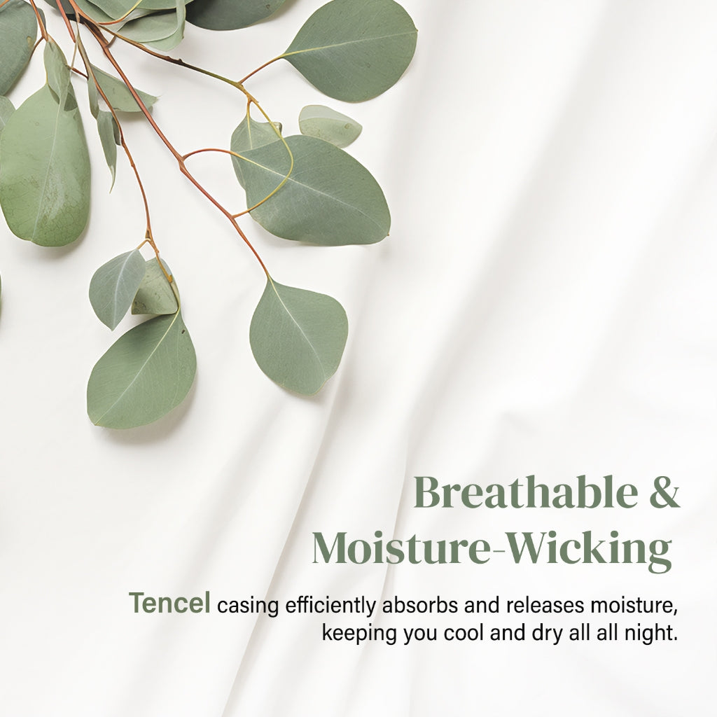 Bellami I ZZEN TENCEL‚Ñ¢ I DownFeel¬Æ Luxury Pillow ‚Äì Soft, Medium & Firm (1000g, 1300g, 1700g)